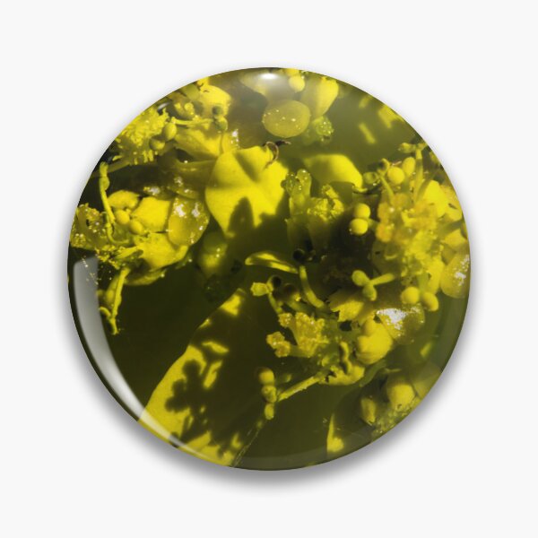 Item preview, Blooms in macro designed and sold by CanadianWild418.