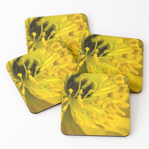 Item preview, Spring bloom up close designed and sold by CanadianWild418.