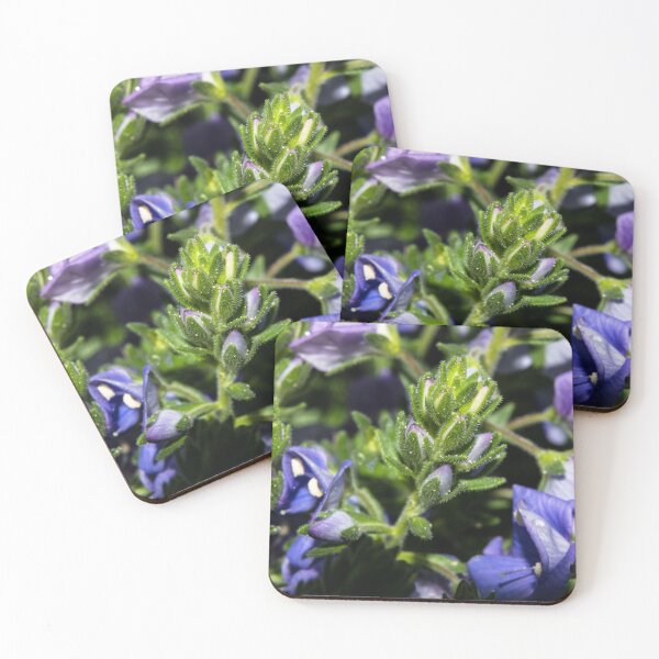Item preview, Blooms of purple designed and sold by CanadianWild418.