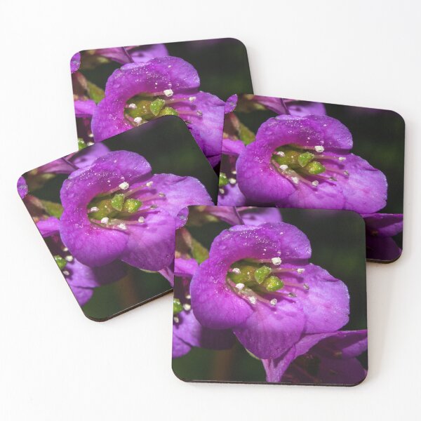 Item preview, Blooming purple designed and sold by CanadianWild418.