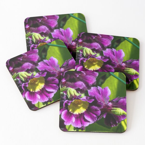 Item preview, Spring designed and sold by CanadianWild418.