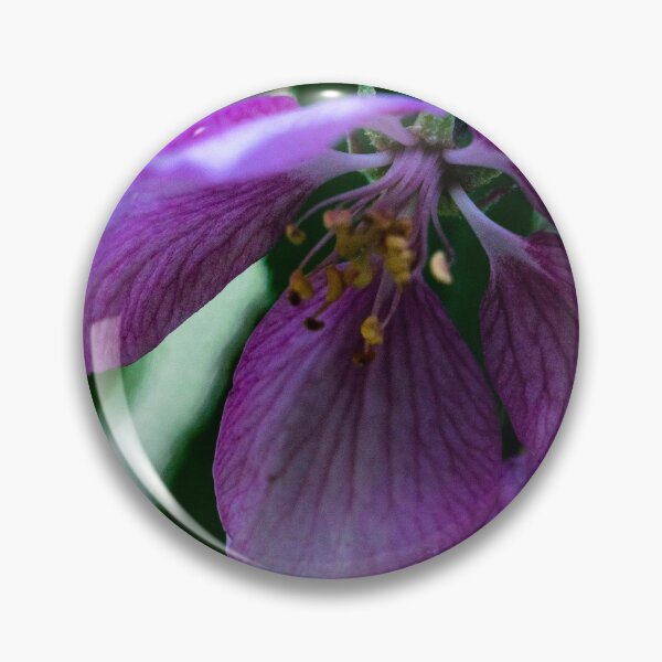 Item preview, Apple blossoms designed and sold by CanadianWild418.