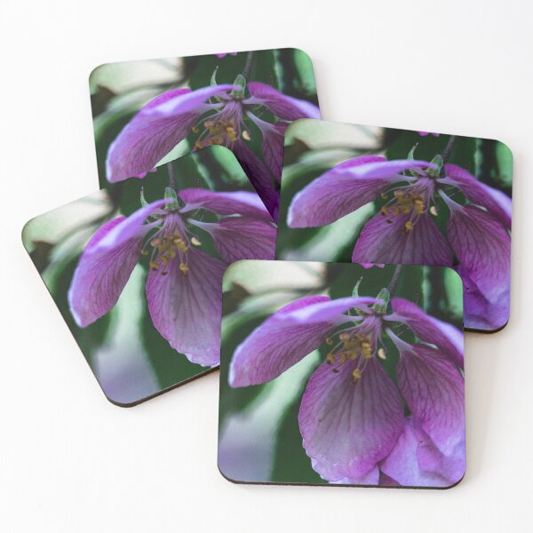 Item preview, Apple blossoms designed and sold by CanadianWild418.