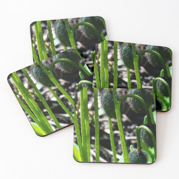 Item preview, Before the flower blooms designed and sold by CanadianWild418.