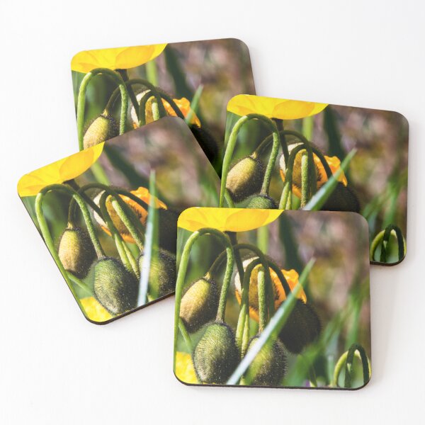 Item preview, Spring has sprung designed and sold by CanadianWild418.