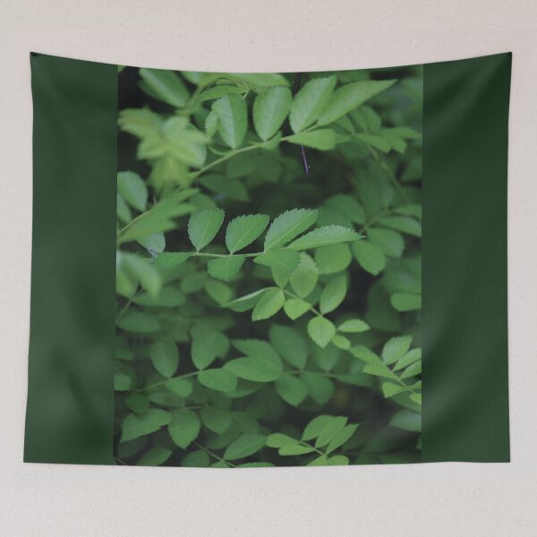 Aperçu de l'œuvre Feuilles vertes créée et vendue par OneCreativePup.