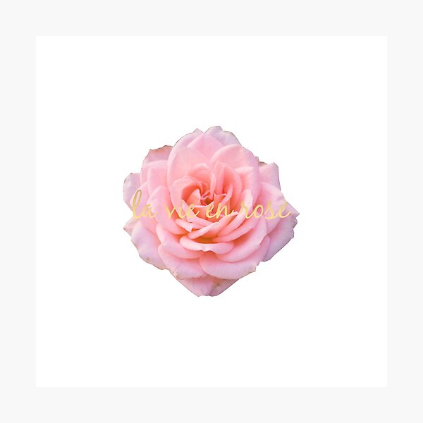 La Vie En Rose Wall Art for Sale