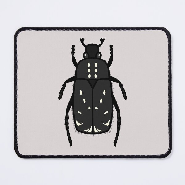 Item preview, Shroud beetle Oxythyrea funesta designed and sold by dbulnesr.