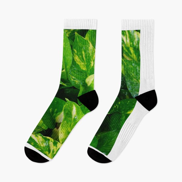 Artikelvorschau, Pothos hautnah entworfen und verkauft von E6Designs.