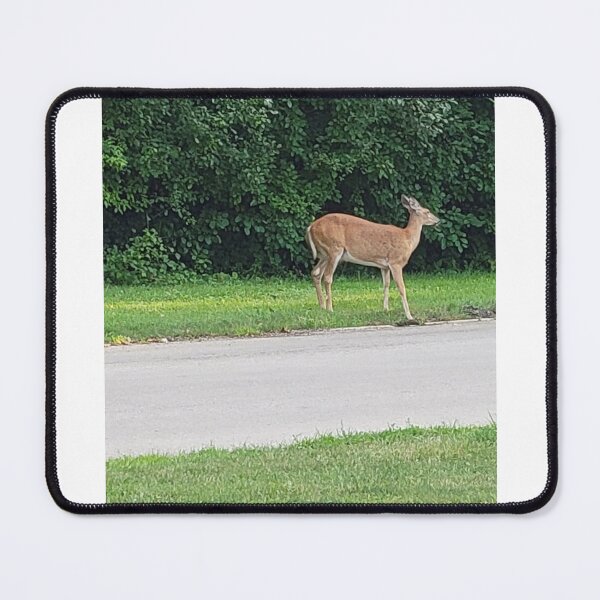Item preview, Deer designed and sold by NathanMoore92.