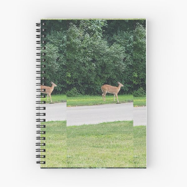 Item preview, Deer designed and sold by NathanMoore92.