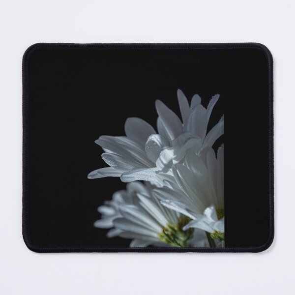 Item preview, Shasta Daisies designed and sold by Karen Szatkowski.