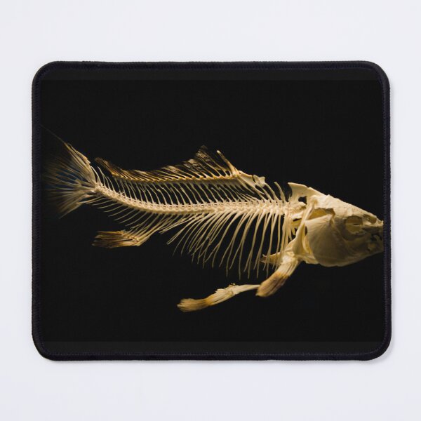 Item preview, Fish Bone designed and sold by PezArtCo.