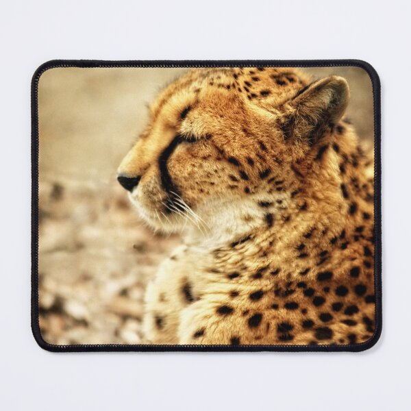 Item preview, cheetah designed and sold by hdconnellyphoto.