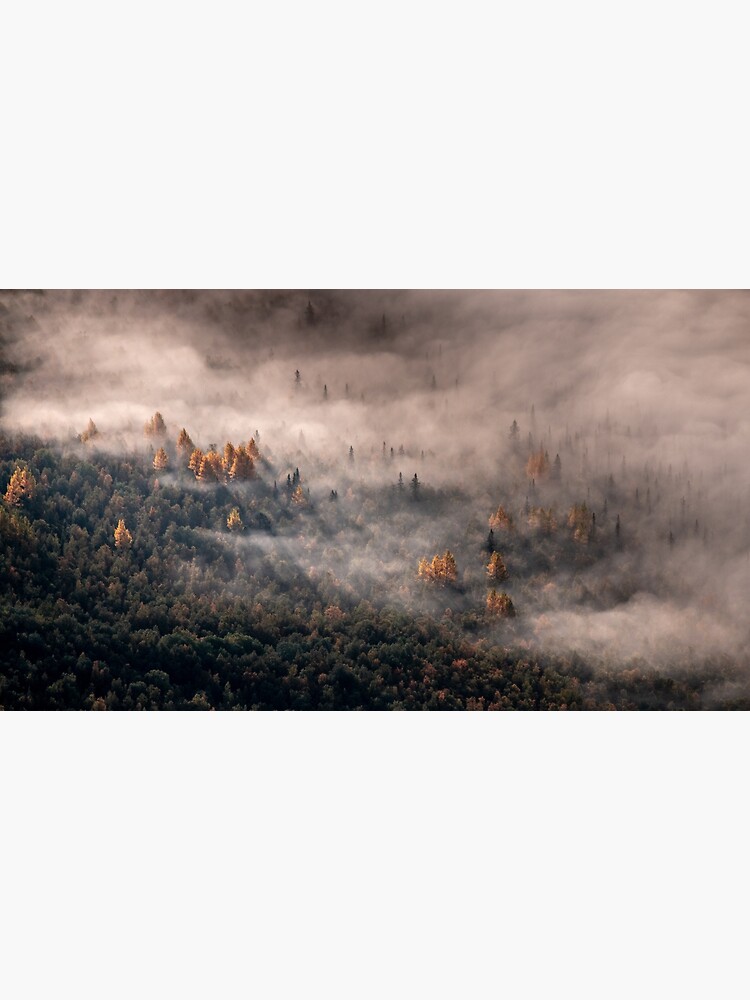 Artwork view, Autumn treetops in the mist designed and sold by Wojtek Rygielski