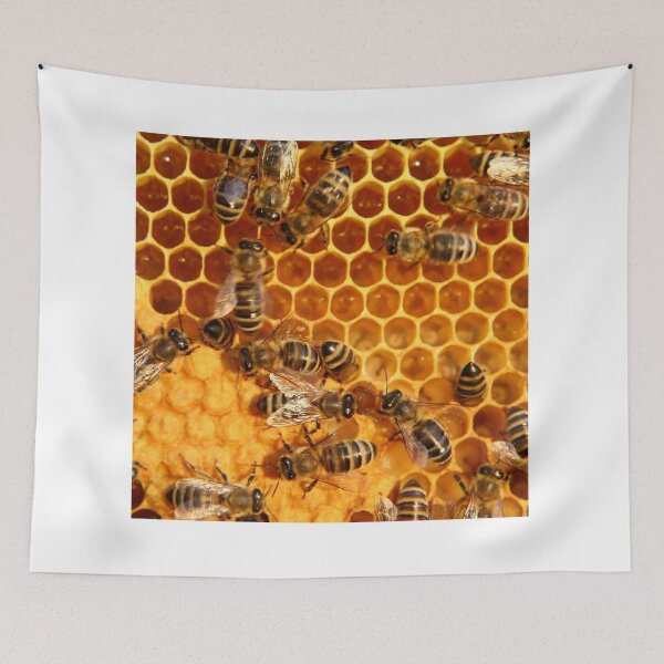 Aperçu de l'œuvre Gros plan sur les abeilles créée et vendue par E6Designs.