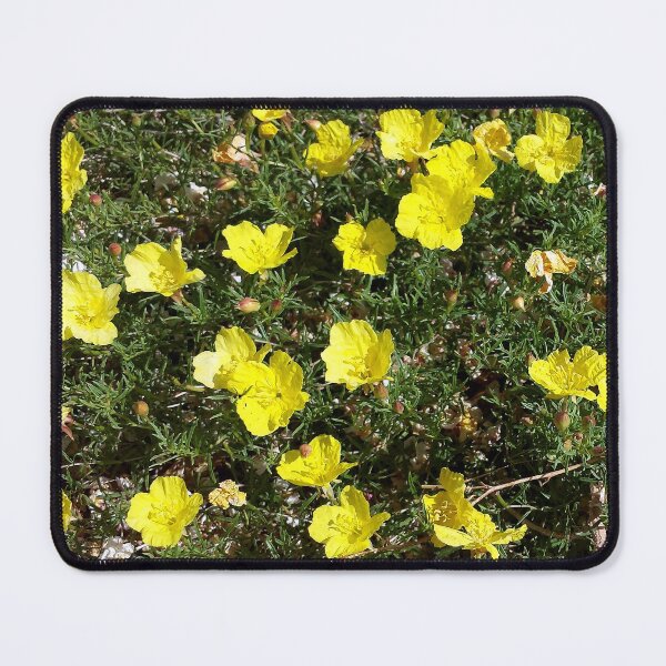 Item preview, Yellow Flowers designed and sold by blakcirclegirl.