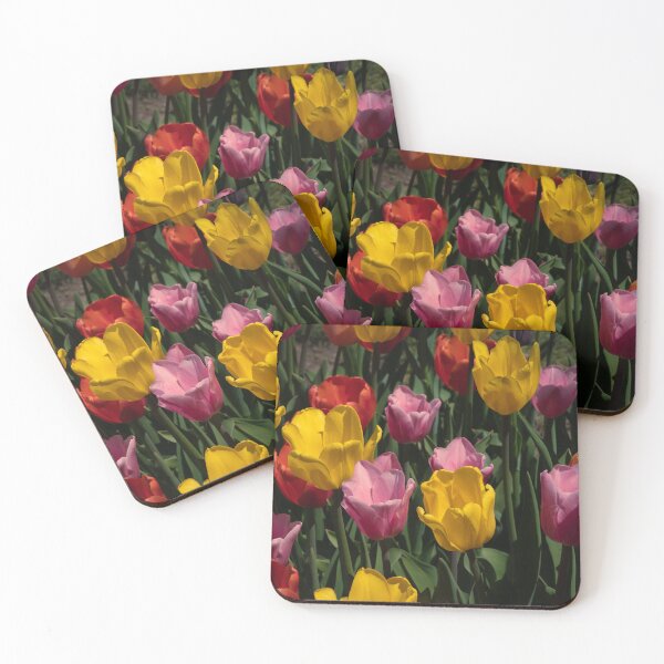 Item preview, Tulips Competing For Attention designed and sold by barkeypf.