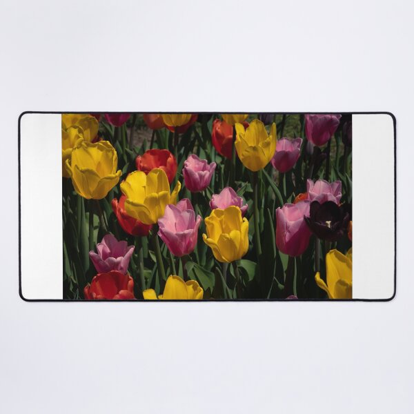 Item preview, Tulips Competing For Attention designed and sold by barkeypf.