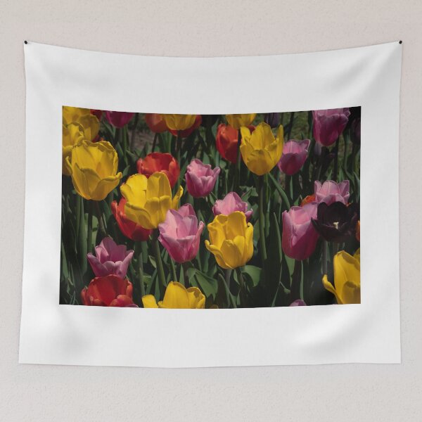 Item preview, Tulips Competing For Attention designed and sold by barkeypf.