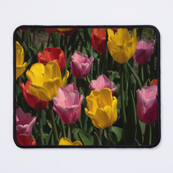 Item preview, Tulips Competing For Attention designed and sold by barkeypf.