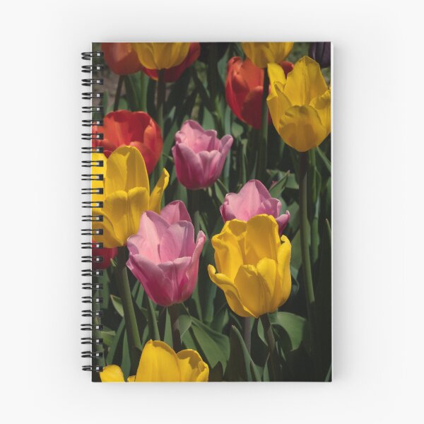Item preview, Tulips Competing For Attention designed and sold by barkeypf.