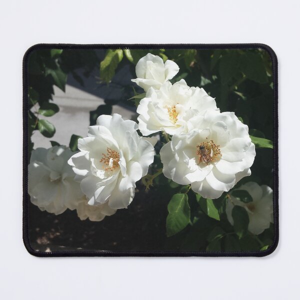Item preview, Bee And White Roses designed and sold by blakcirclegirl.