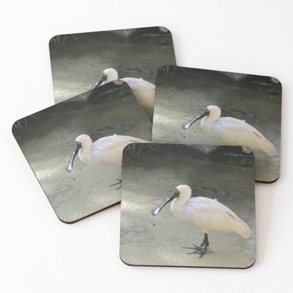 Item preview, Royal spoonbill designed and sold by greentiger1.