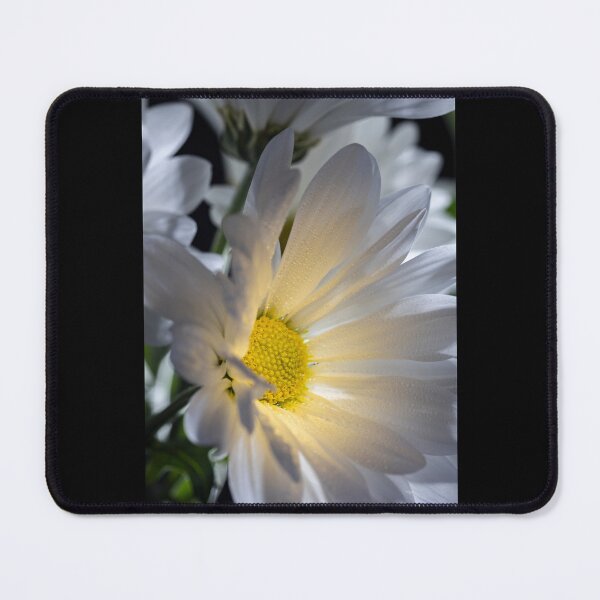 Item preview, Shasta Daisies designed and sold by Karen Szatkowski.