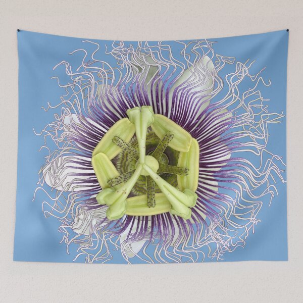 Item preview, Purple Passion Fruit Flower (Passiflora edulis) designed and sold by EschatonGarden.