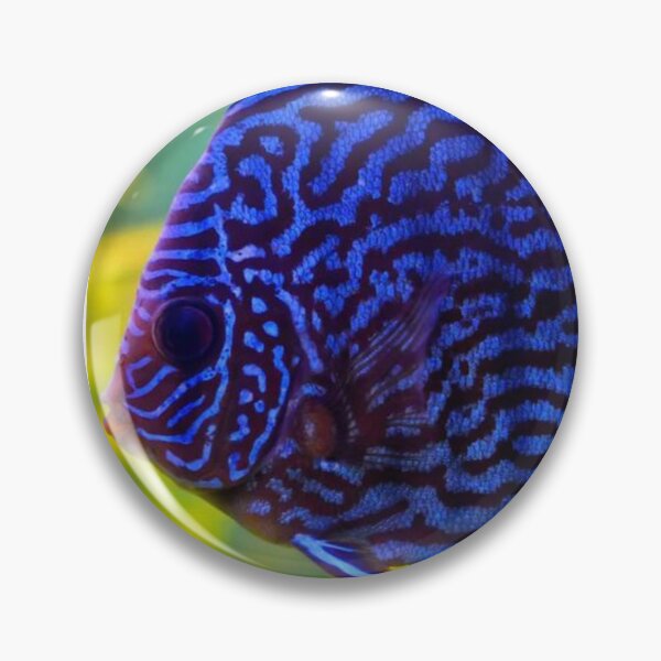 Item preview, Tropical Fish Close-Up designed and sold by E6Designs.