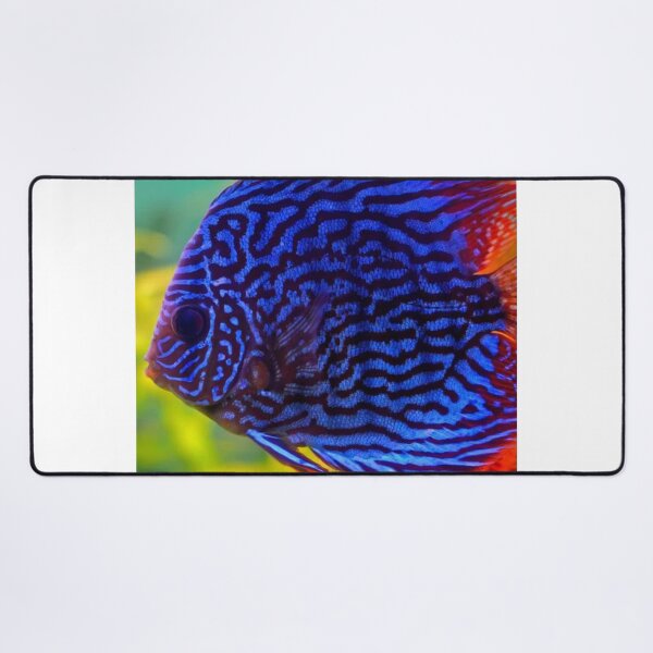 Item preview, Tropical Fish Close-Up designed and sold by E6Designs.
