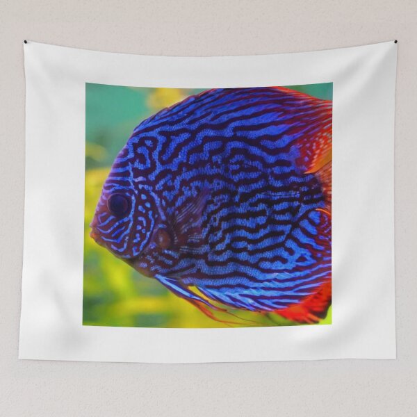 Item preview, Tropical Fish Close-Up designed and sold by E6Designs.
