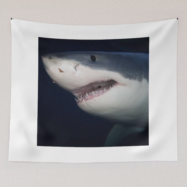 Item preview, Great White Shark Close-Up designed and sold by E6Designs.