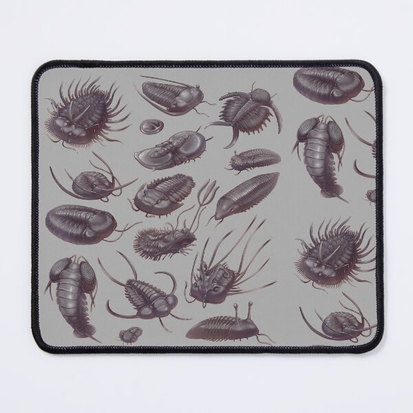 Item preview, Trilobite Fossils designed and sold by Wagglezags.