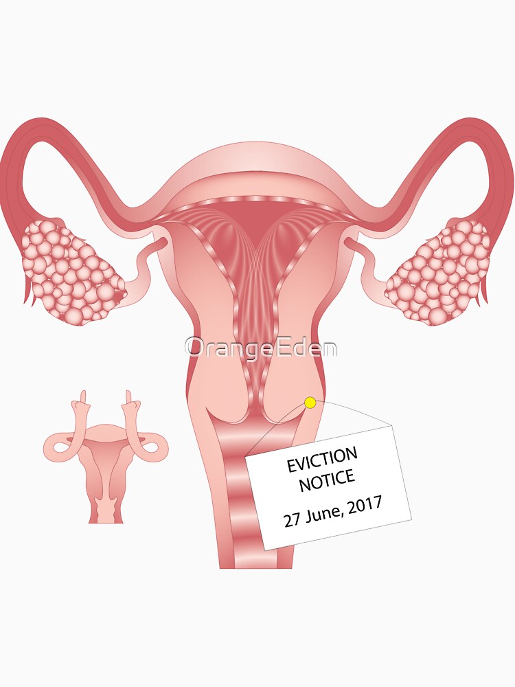 uterus-eviction-notice-t-shirt-by-orangeeden-redbubble