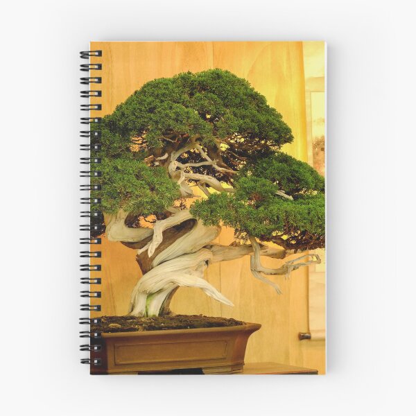 Item preview, Bonsai Tree designed and sold by CriticalC404.