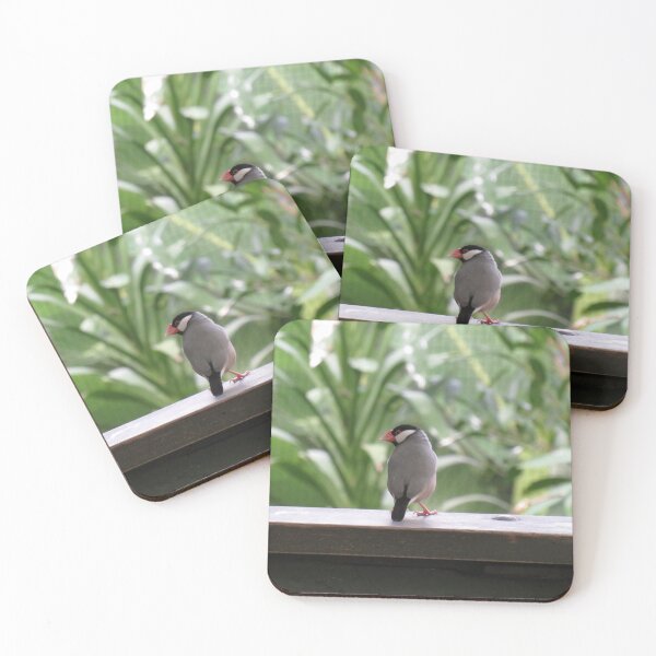 Item preview, Java finch designed and sold by greentiger1.