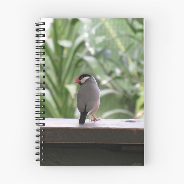 Item preview, Java finch designed and sold by greentiger1.