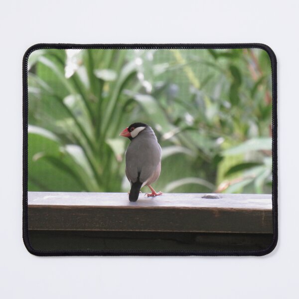 Item preview, Java finch designed and sold by greentiger1.