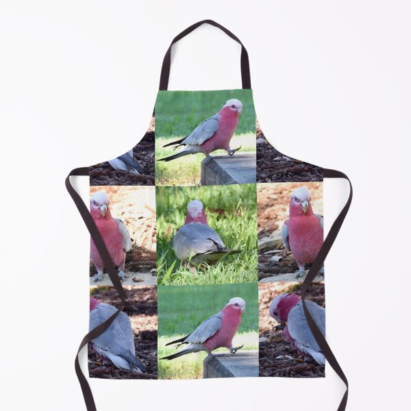 Item preview, Study of a Galah designed and sold by Digitaldingo.