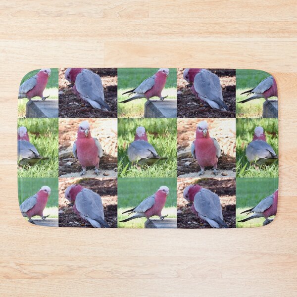 Item preview, Study of a Galah designed and sold by Digitaldingo.