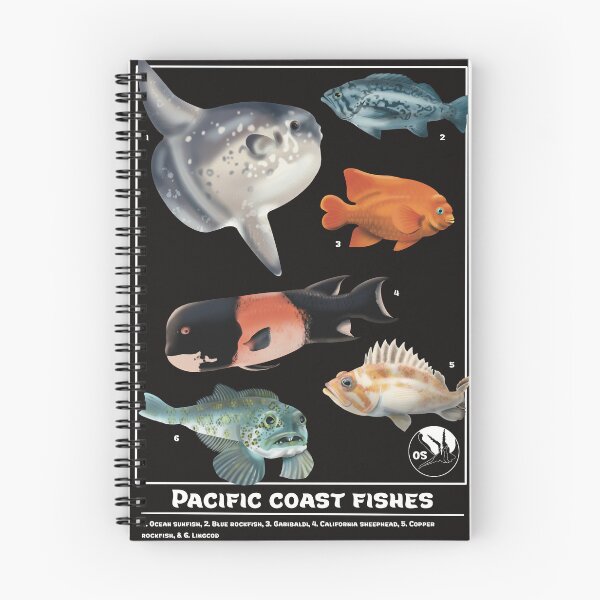 Item preview, Pacific Coast Fishes designed and sold by Opalescent Studios.