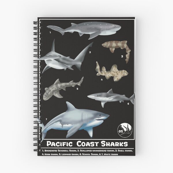 Item preview, Pacific Coast Sharks designed and sold by Opalescent Studios.
