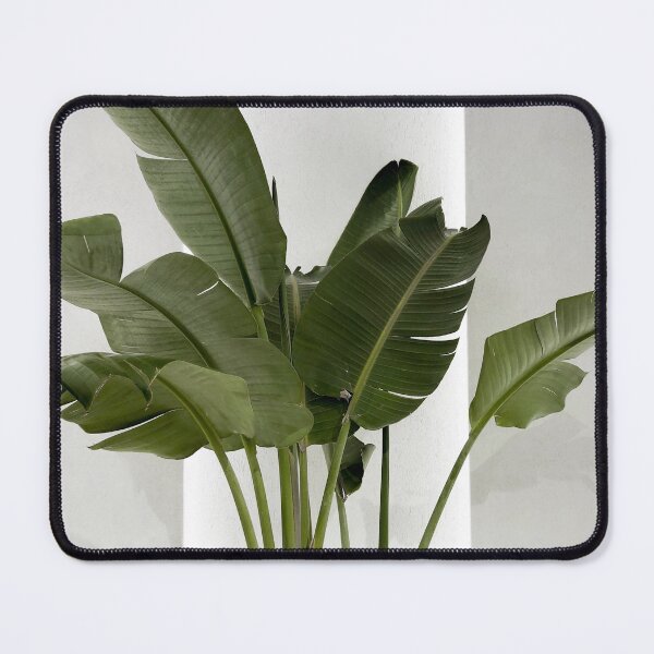 Item preview, Tropical Plant Leaf designed and sold by newburyboutique.