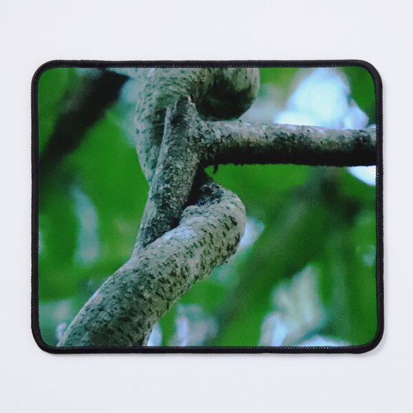 Item preview, Twist designed and sold by Geoff Treagus.