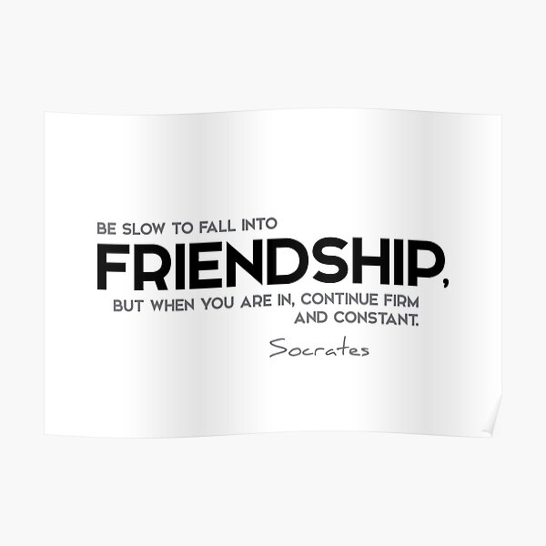 fall into friendship - socrates Poster