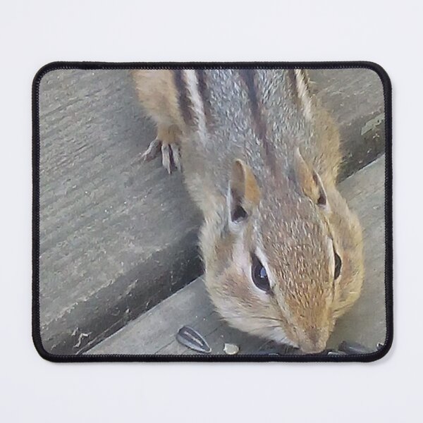 Item preview, Chipmunk designed and sold by BellsPainting.