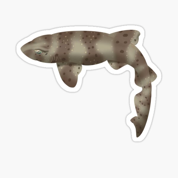 Item preview, Swell Shark designed and sold by Opalescent Studios.