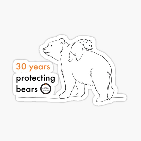 30 years of bears Sticker